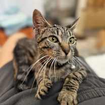 Thumbnail photo of Tiny Teeny #1