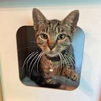 Thumbnail photo of Tiny Teeny #2