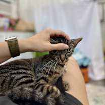 Thumbnail photo of Tiny Teeny #4