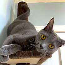 Thumbnail photo of Frida #4