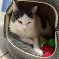 Thumbnail photo of Ferrari #1