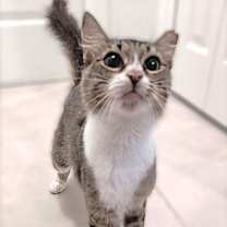 Thumbnail photo of Glinda #2