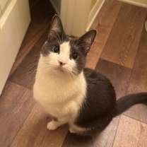 Thumbnail photo of Carl #1