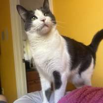 Thumbnail photo of Carl #2