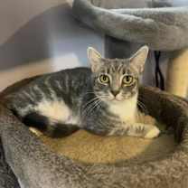 Thumbnail photo of Tatiana #1