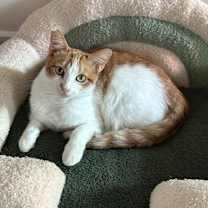 Thumbnail photo of Juice Box #1