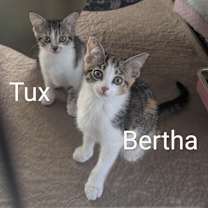 Thumbnail photo of Bertha #4