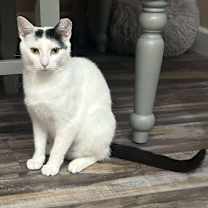 Thumbnail photo of Esme #1