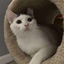 Thumbnail photo of Esme #2