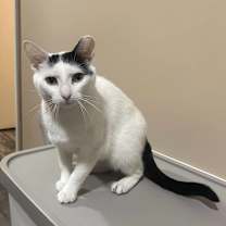 Thumbnail photo of Esme #3