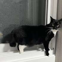 Thumbnail photo of Gigi #4