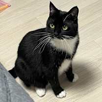 Thumbnail photo of Gigi #1