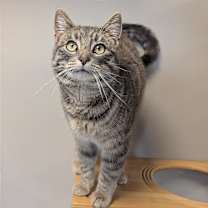 Thumbnail photo of Kenny #3