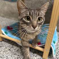 Thumbnail photo of Kenny #4