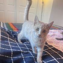 Thumbnail photo of Skibidi (& Bubbles) #4