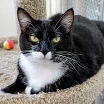 Thumbnail photo of Mama Cookie #1