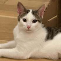 Thumbnail photo of Jax #1