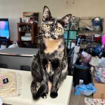 Thumbnail photo of Victoria (& Boots) [CP] #2