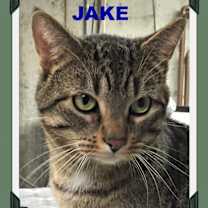 Thumbnail photo of Jake #1
