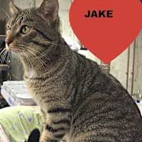 Thumbnail photo of Jake #3