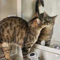 Thumbnail photo of Lizzie #2