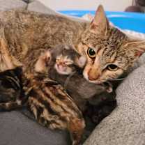 Thumbnail photo of Lizzie #3