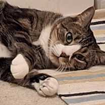 Thumbnail photo of Rudy #2
