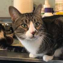 Thumbnail photo of Rudy #3