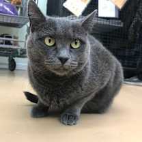 Thumbnail photo of Kaye #2