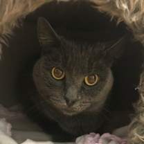 Thumbnail photo of Kaye #3