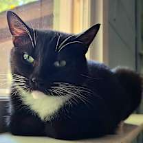 Thumbnail photo of Quilla #4