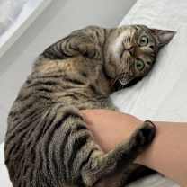 Thumbnail photo of Halli #3