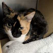 Thumbnail photo of Munchkin #2