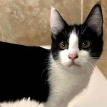 Thumbnail photo of Mali #1