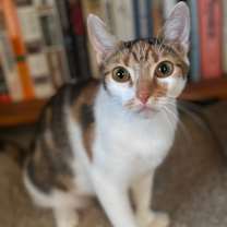 Thumbnail photo of Thumb-alina #4