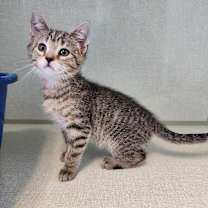 Thumbnail photo of Esme #2