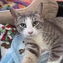 Thumbnail photo of Meadow #1