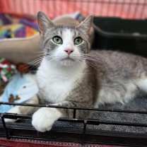 Thumbnail photo of Meadow #2