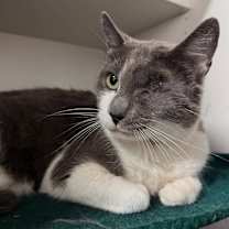 Thumbnail photo of Lisa Left Eye #2