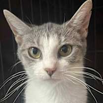 Thumbnail photo of Skylar #1