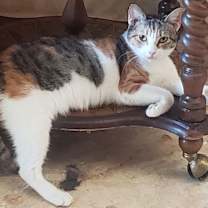 Thumbnail photo of Antoinette #bundle-of-joy #2