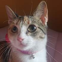 Thumbnail photo of Antoinette #bundle-of-joy #4