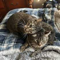 Thumbnail photo of Finn #3