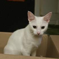 Thumbnail photo of Roo #1