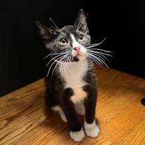 Thumbnail photo of Bond #1