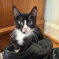 Thumbnail photo of Bond #2