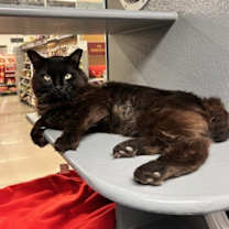 Thumbnail photo of Charlie #1