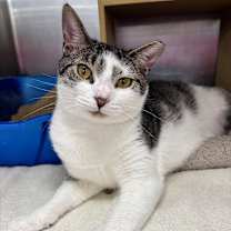 Thumbnail photo of Ely #1