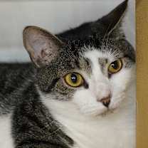 Thumbnail photo of Ely #2