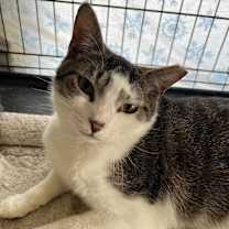 Thumbnail photo of Ely #3